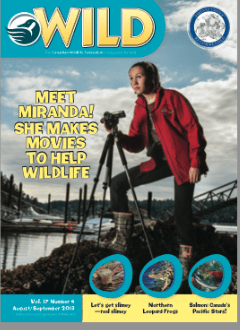 screenshot final wild